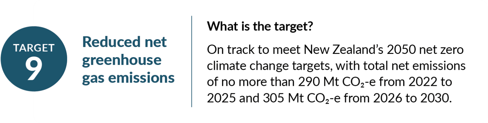 The infographic says that Target 9 is on track to meet New Zealand's 2050 net zero climate change targets, with total net emissions of no more than 290 Mt C)2-e from 2022 to 2025 and 305 Mt CO2-e from 2026 to 2030.
